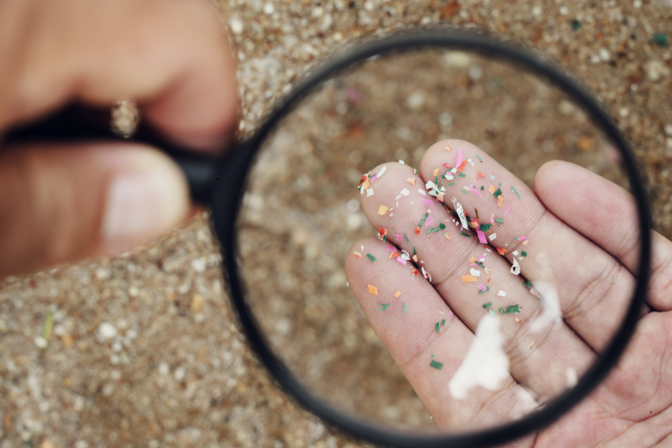 Microplastic at the beach being examined under a magnifying glass
