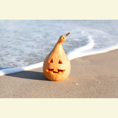 🎃 Scary Sunscreen Facts That’ll Haunt Your Skin (and the Planet)