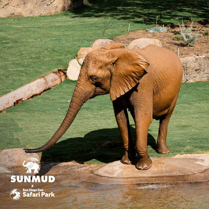 SUNMUD x Elephant Valley Safari Park Edition - Tinted Mineral Sunscreen - Terra