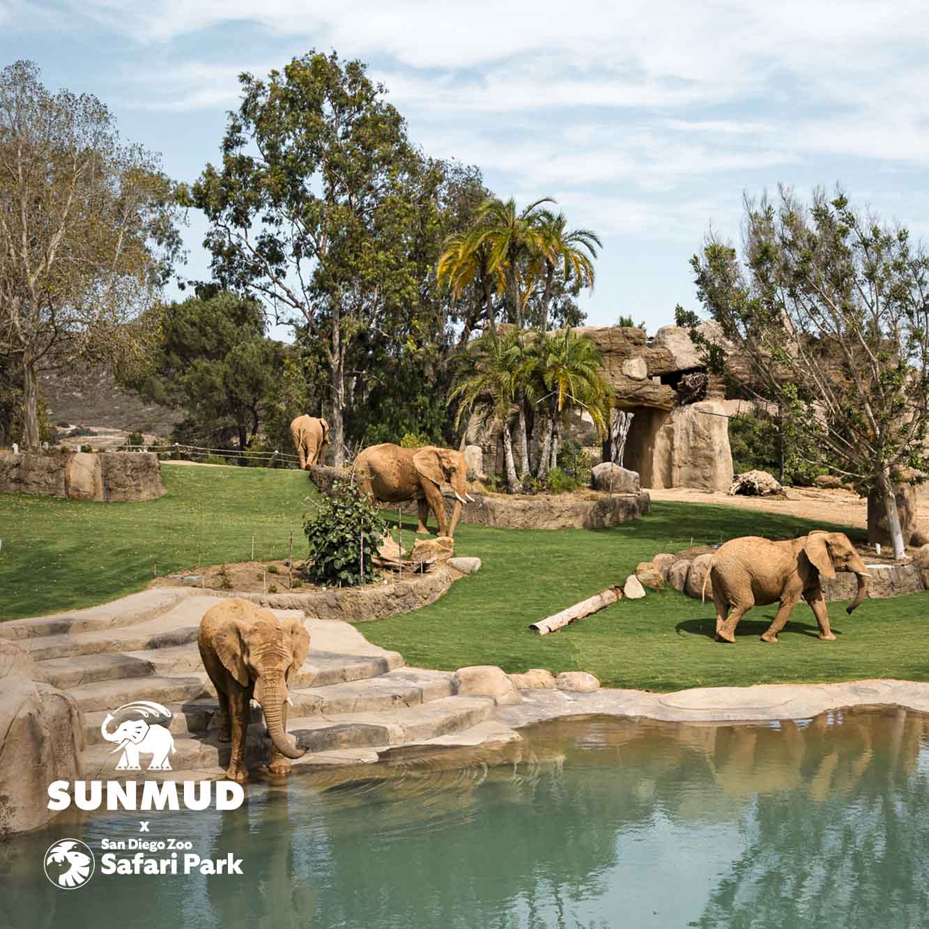 SUNMUD x Elephant Valley Safari Park Edition - Tinted Mineral Sunscreen - Terra