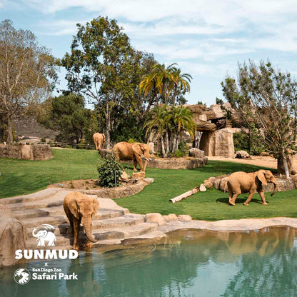 SUNMUD x Elephant Valley Safari Park Edition - Tinted Mineral Sunscreen - Terra